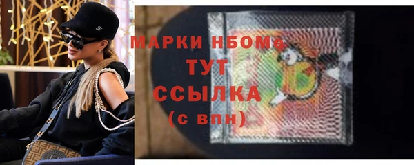 ECSTASY Белокуриха