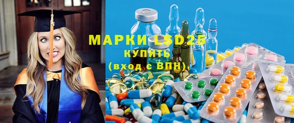 ECSTASY Белокуриха
