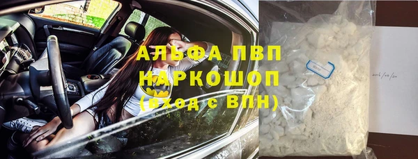 ECSTASY Белокуриха