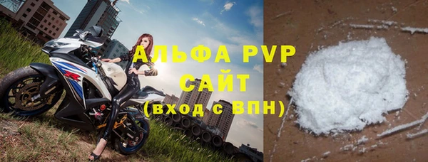 ECSTASY Белокуриха