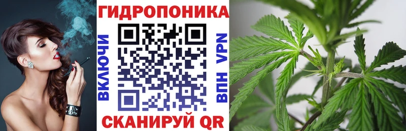 Конопля Bruce Banner  Череповец 